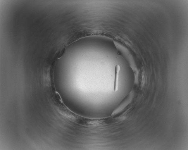 X0000070850516200606161138