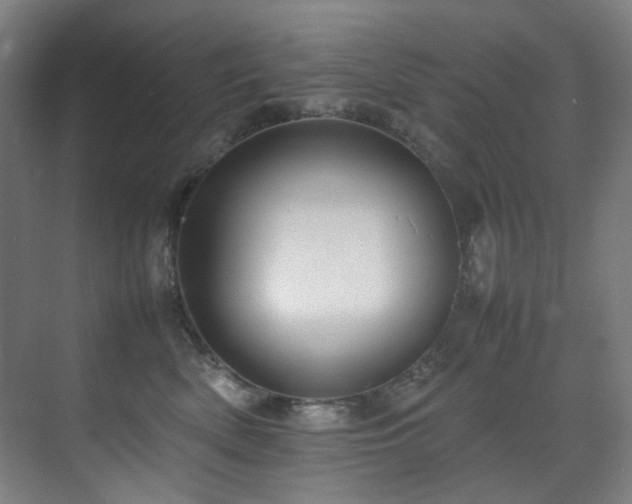 X0000070850522200606161138