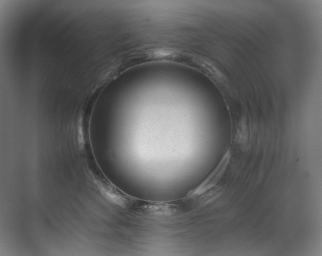X0000070850524200606161138