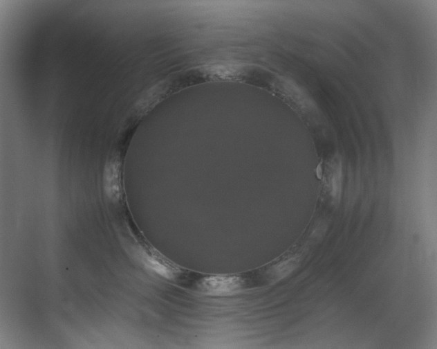 X0000070850526200606161138