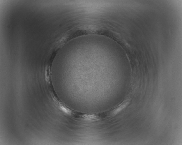 X0000070850528200606161138