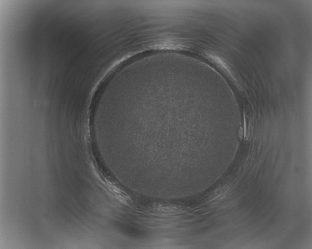 X0000070850531200606161137