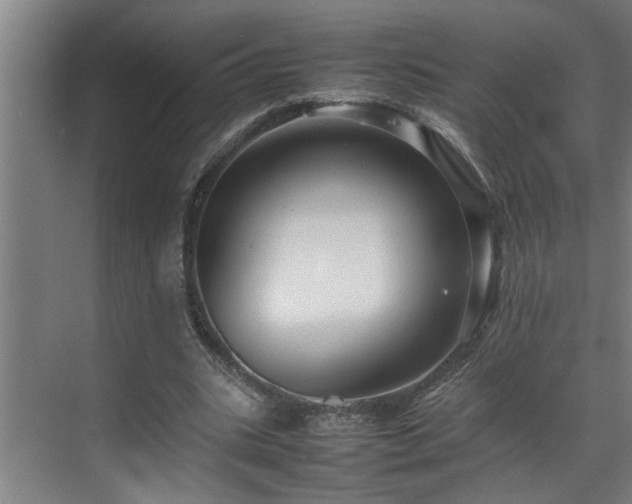 X0000070850535200606161137