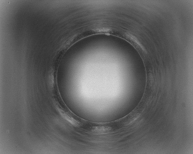X0000070850541200606161137