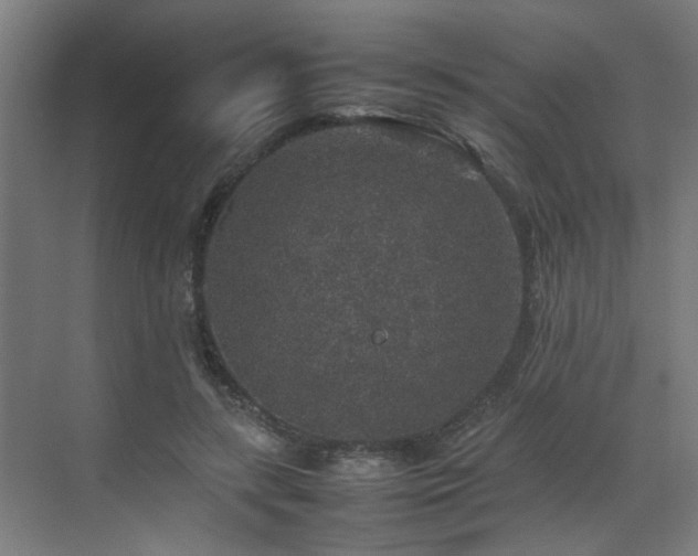 X0000070850547200606161138