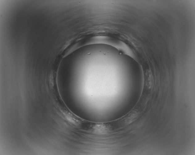 X0000070850562200606161138