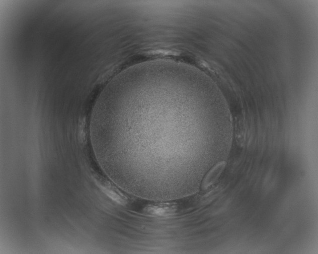 X0000070850563200606161138