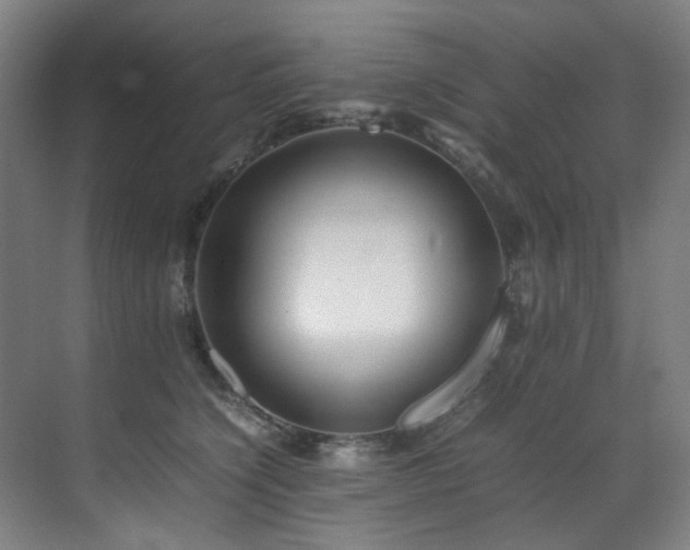 X0000070850564200606161138