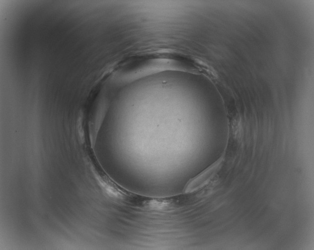 X0000070850570200606161138