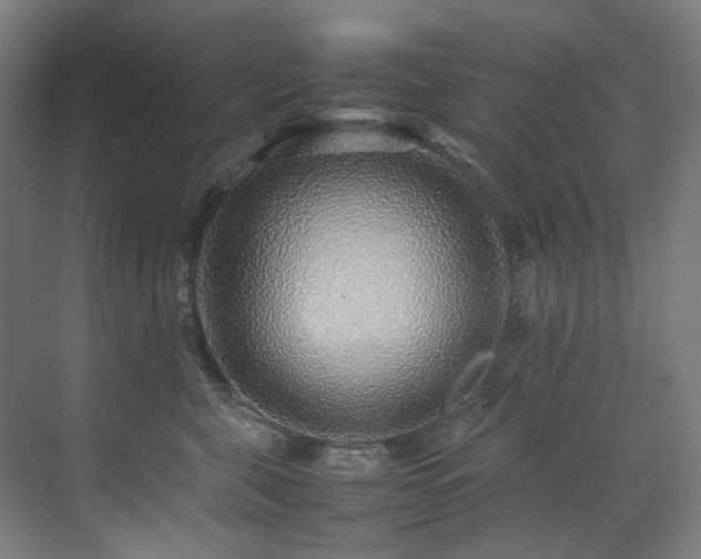 X0000070850571200606161138