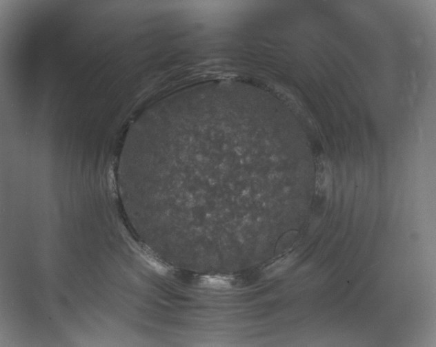 X0000070850573200606161138