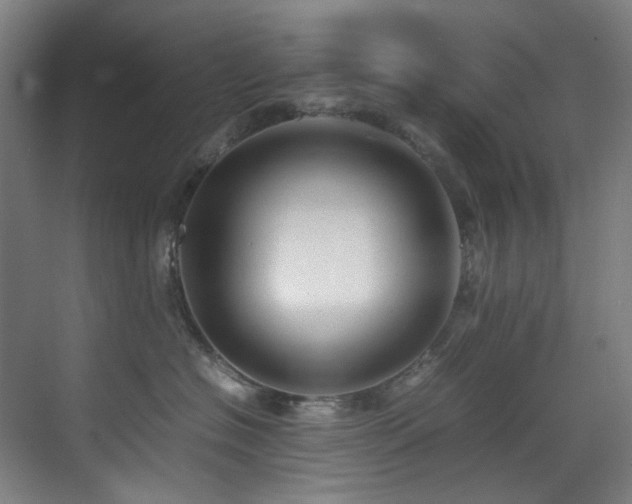 X0000070850574200606161138