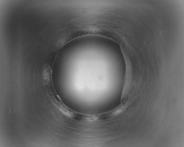 X0000070850576200606161138