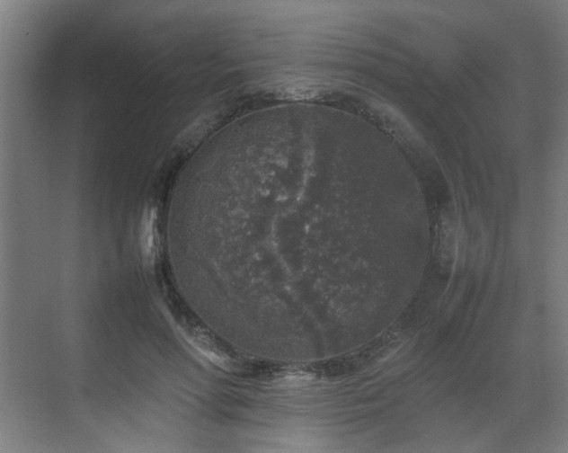 X0000070850598200606161137