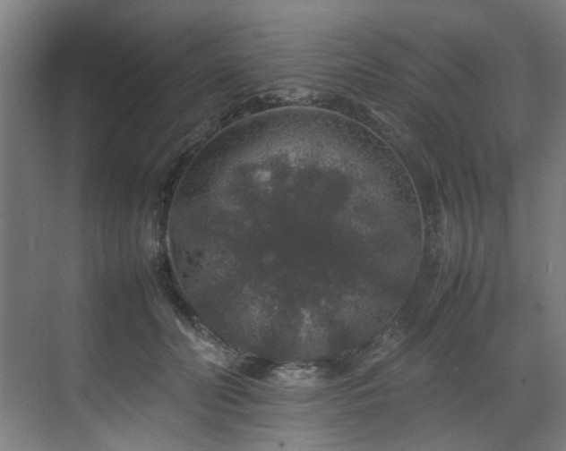 X0000070850606200606161137