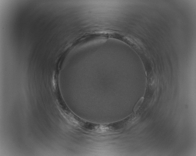 X0000070850607200606161137