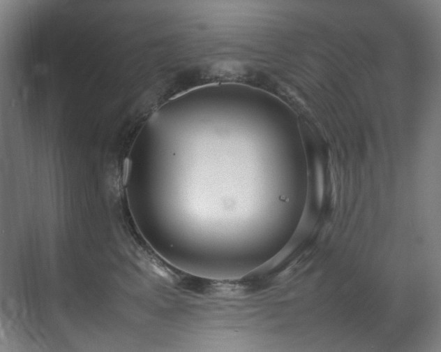 X0000070850617200606161137