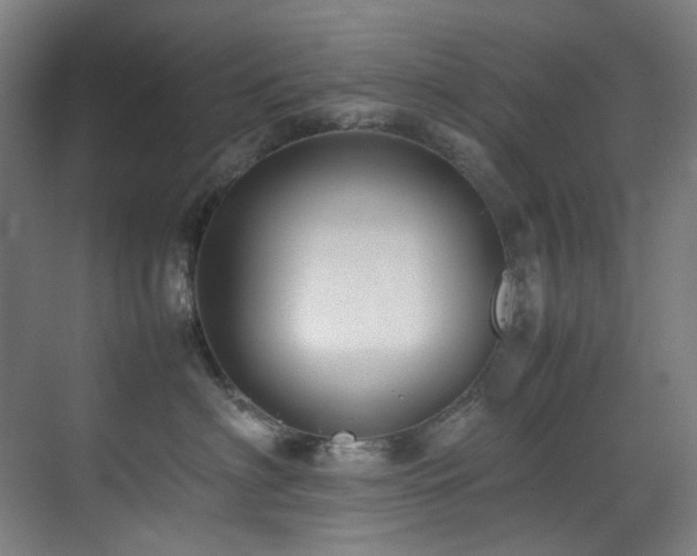 X0000070850622200606161136