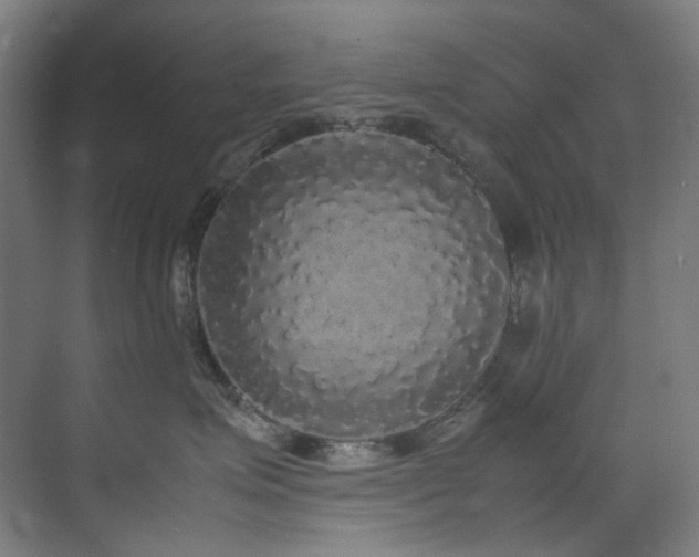 X0000070850623200606161136