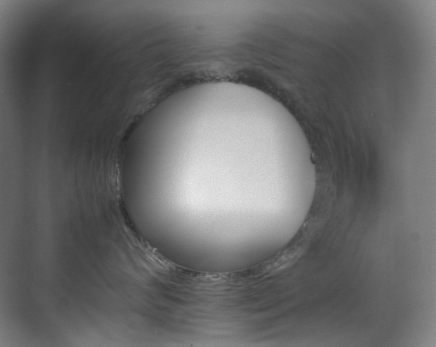 X0000070850624200606161136