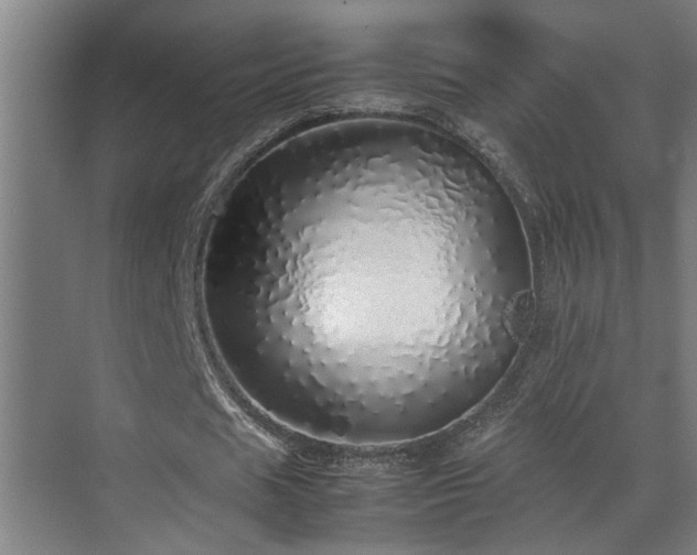 X0000070850625200606161136