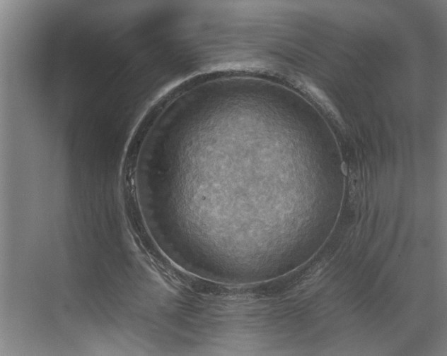 X0000070850628200606161136