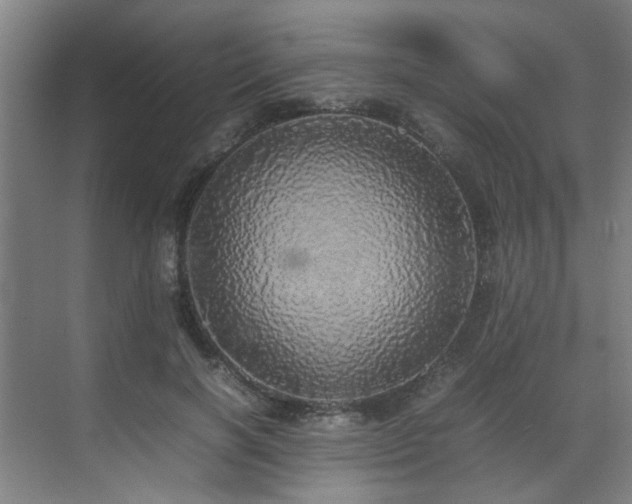 X0000070850646200606161136