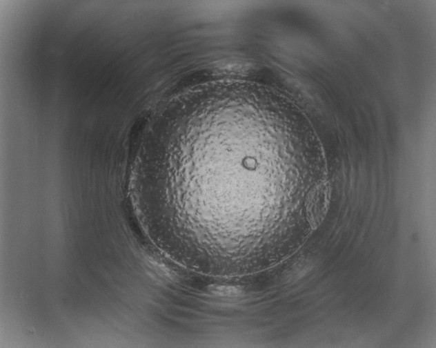 X0000070850649200606161136