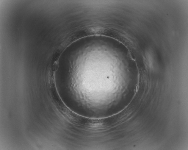 X0000070850651200606161136