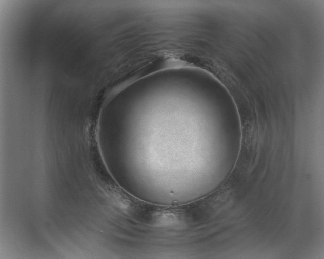 X0000070850655200606161136