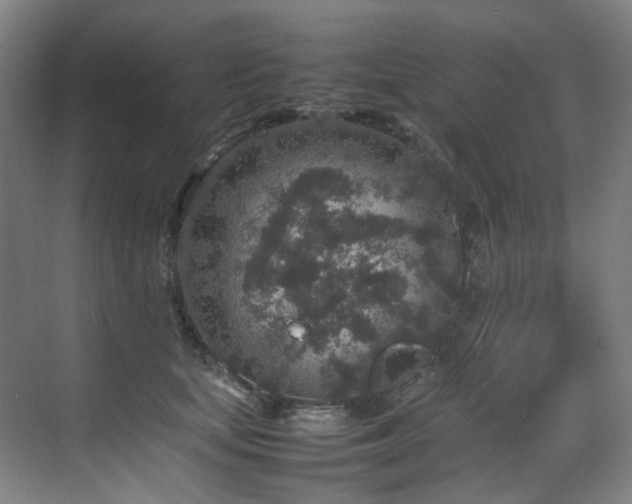 X0000070850659200606161136