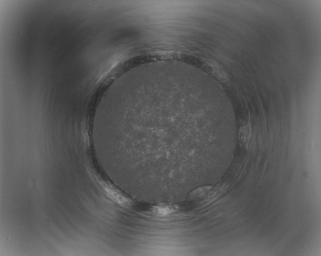 X0000070850662200606161136