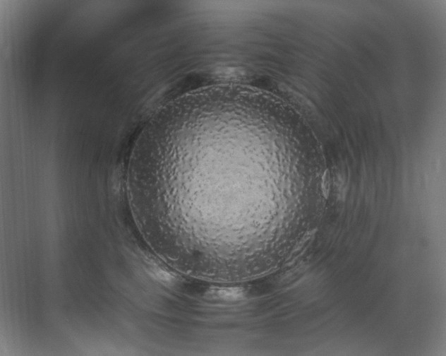 X0000070850665200606161136