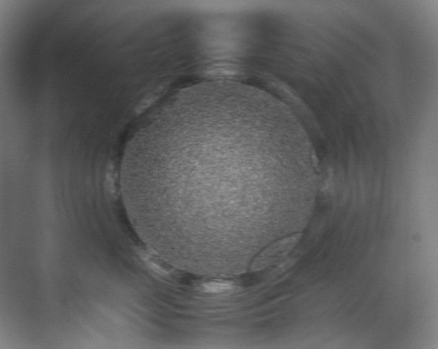 X0000070850669200606161136