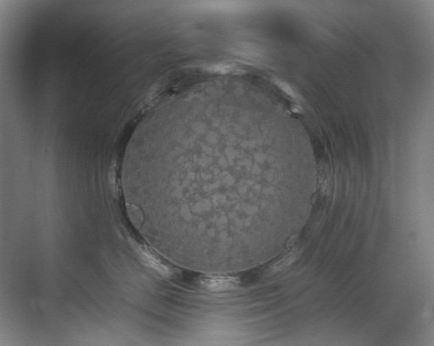 X0000070850670200606161136