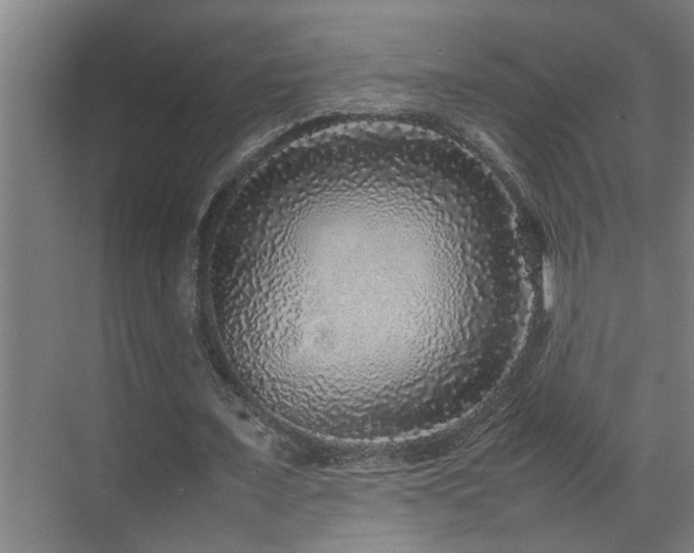 X0000070850675200606161136