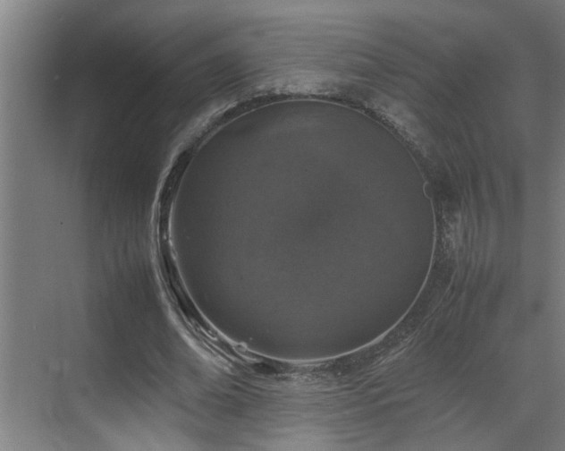 X0000070850678200606161135