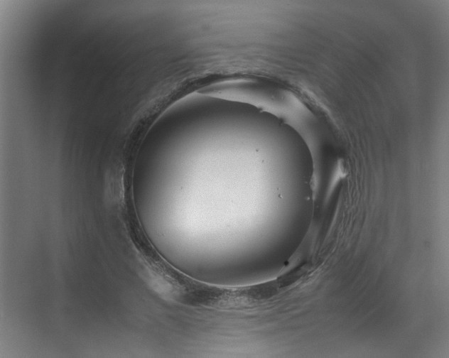 X0000070850685200606161135