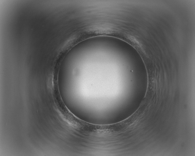 X0000070850686200606161135