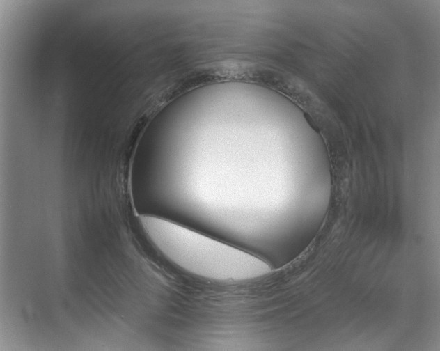 X0000070850696200606161135