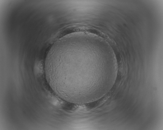 X0000070850715200606161135