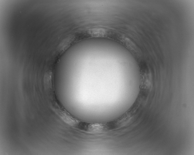 X0000070850717200606161135
