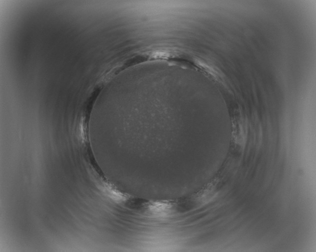 X0000070850718200606161135