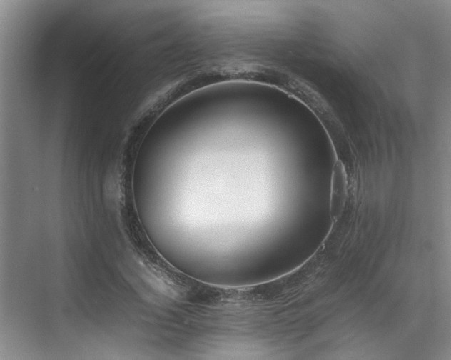 X0000070850732200606161134