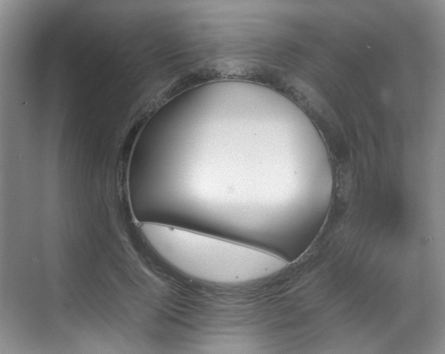 X0000070850740200606161134