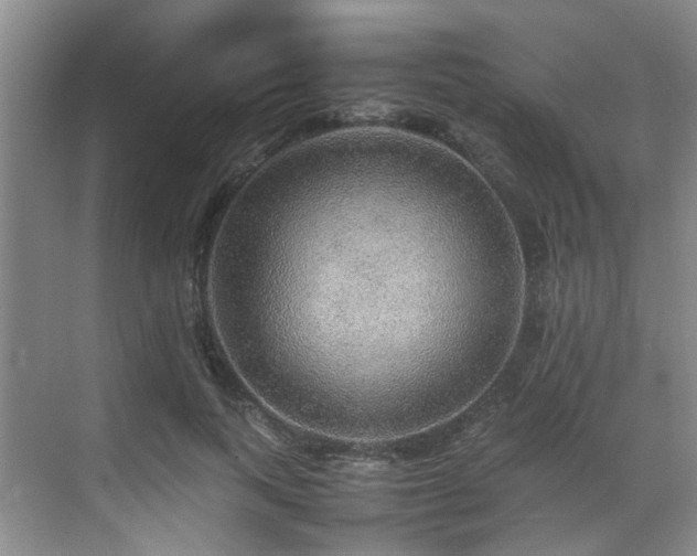 X0000070850743200606161134