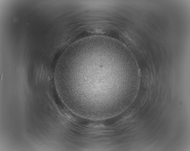 X0000070850747200606161134