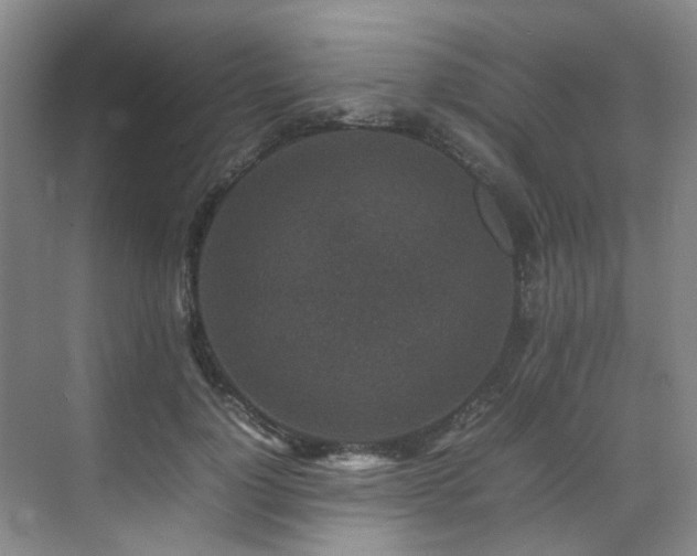 X0000070850748200606161134