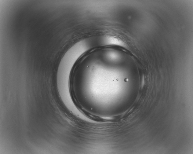 X0000070850750200606161134