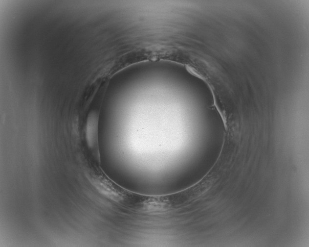 X0000070850756200606161135